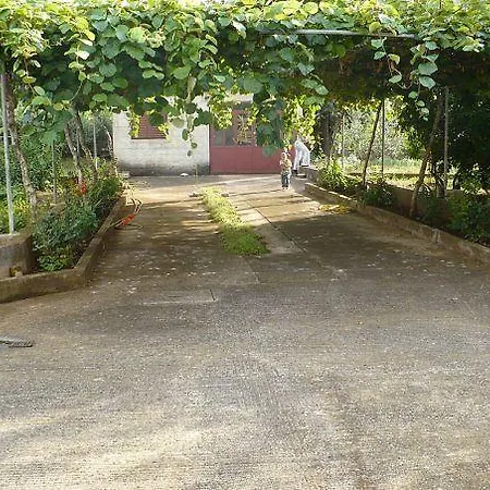Apartman 11663a *